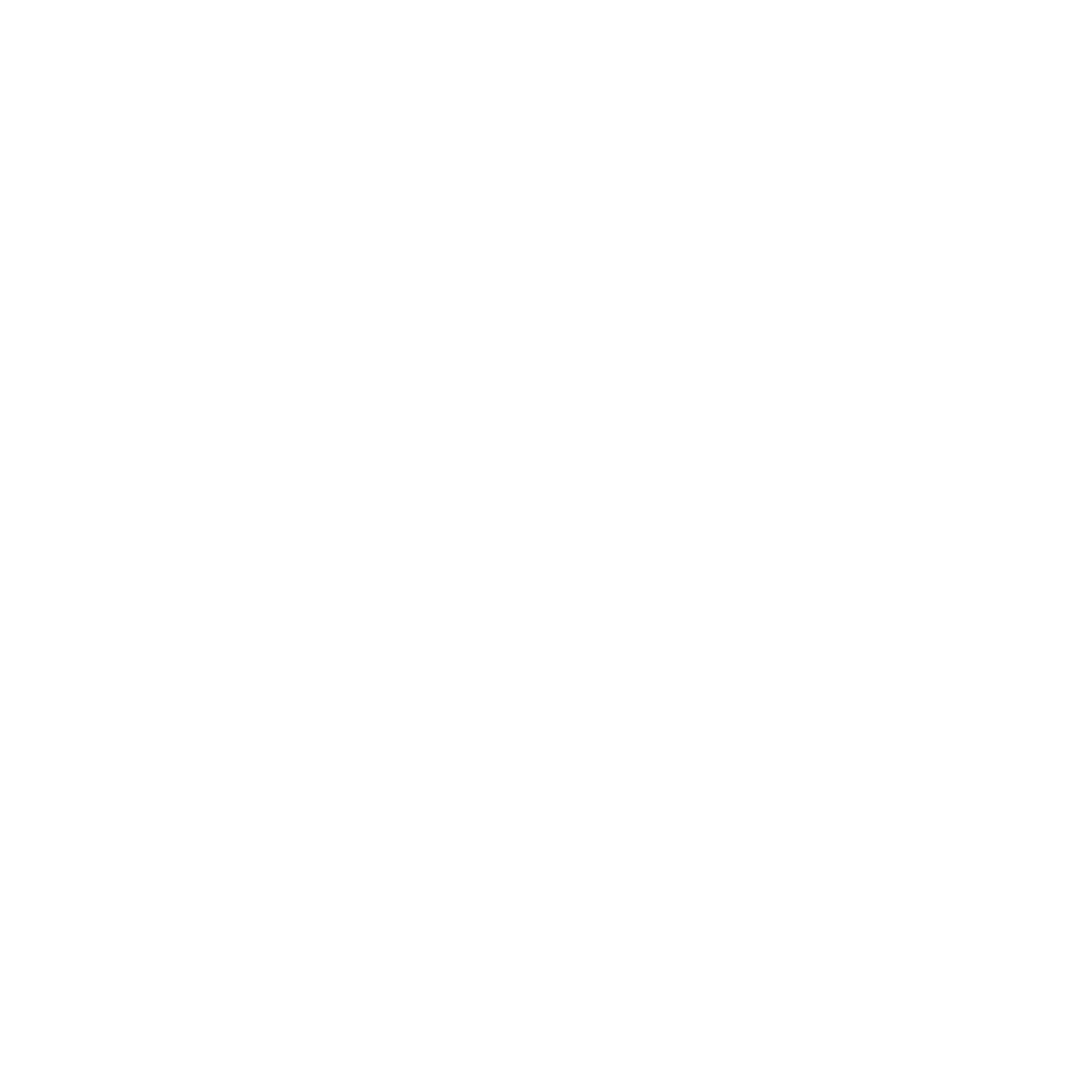 Cina Quinta, Vila Verde, Braga